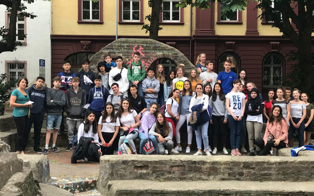 Intercambio FRIBURGO 3º ESO